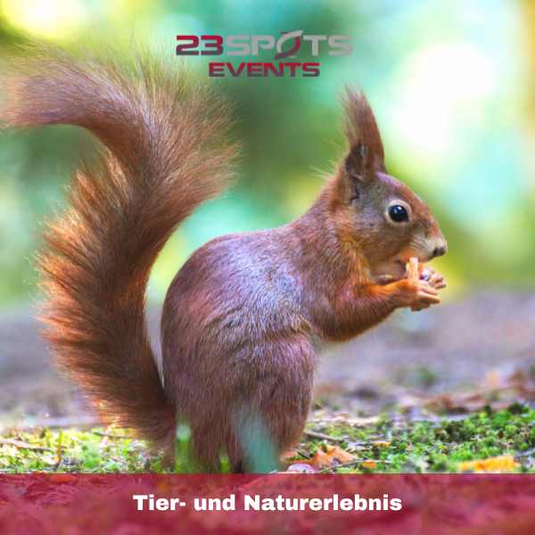 Tier- und Naturerlebnis als Event Tier- und Naturerlebnis als Event